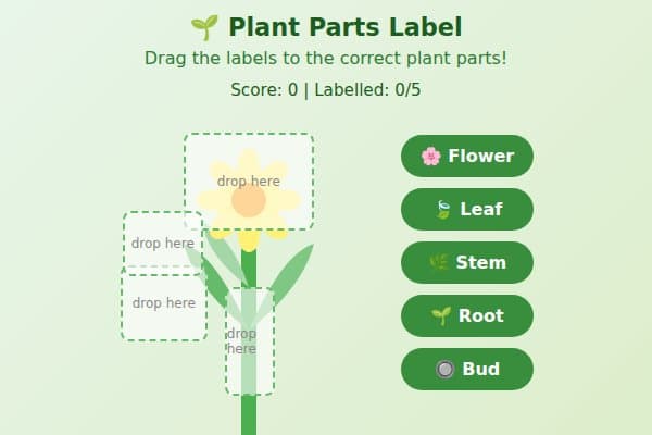 Plant Parts Label